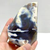 12 Pieces Black Orca Agate Flame Carving 1 - Wholesale Crystals