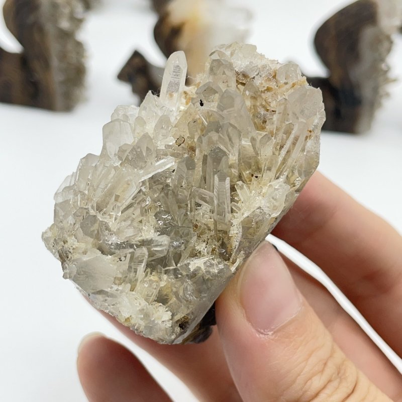 12 Pieces Clear Quartz Cluster Squirrel Carving - Wholesale Crystals