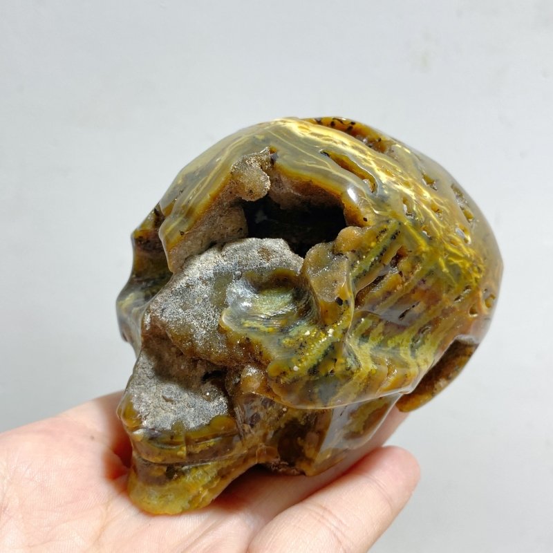 12 Pieces Geode 6th Vein Ocean Jasper Skull Carving -Wholesale Crystals