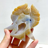 12 Pieces Geode Agate Druzy Angel Carving - Wholesale Crystals