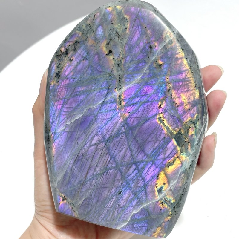 12 Pieces Large Purple Labradorite Free Form - Wholesale Crystals