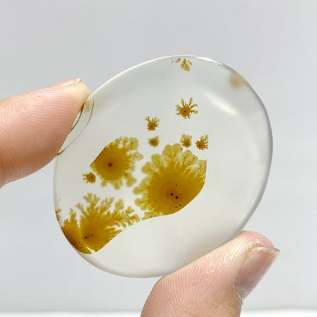 12 Pieces Natural Rare Scenic Dendritic Agate Stone - Wholesale Crystals