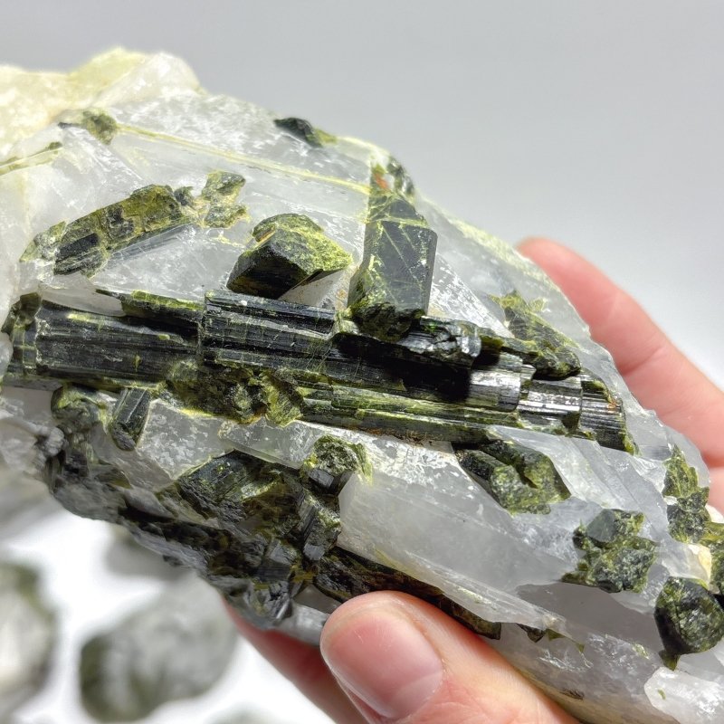 12 Pieces Raw Green Tourmaline In Clear Quartz Specimen - Wholesale Crystals