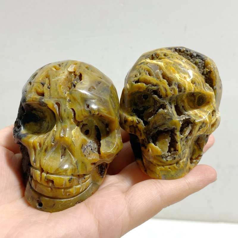 13 Pieces 6th Vein Ocean Jasper Geode Skull Carving -Wholesale Crystals