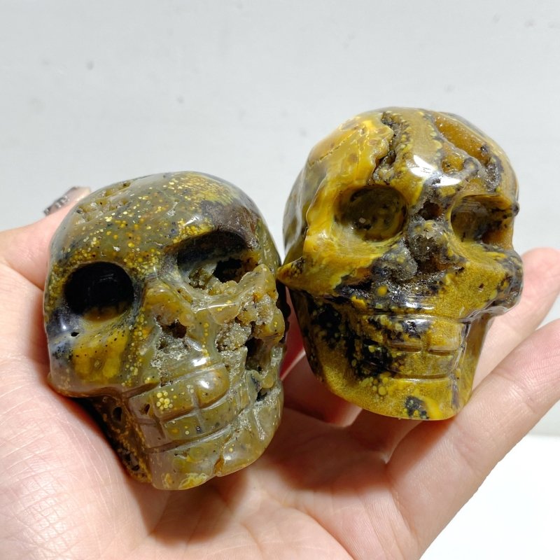 13 Pieces 6th Vein Ocean Jasper Geode Skull Carving -Wholesale Crystals