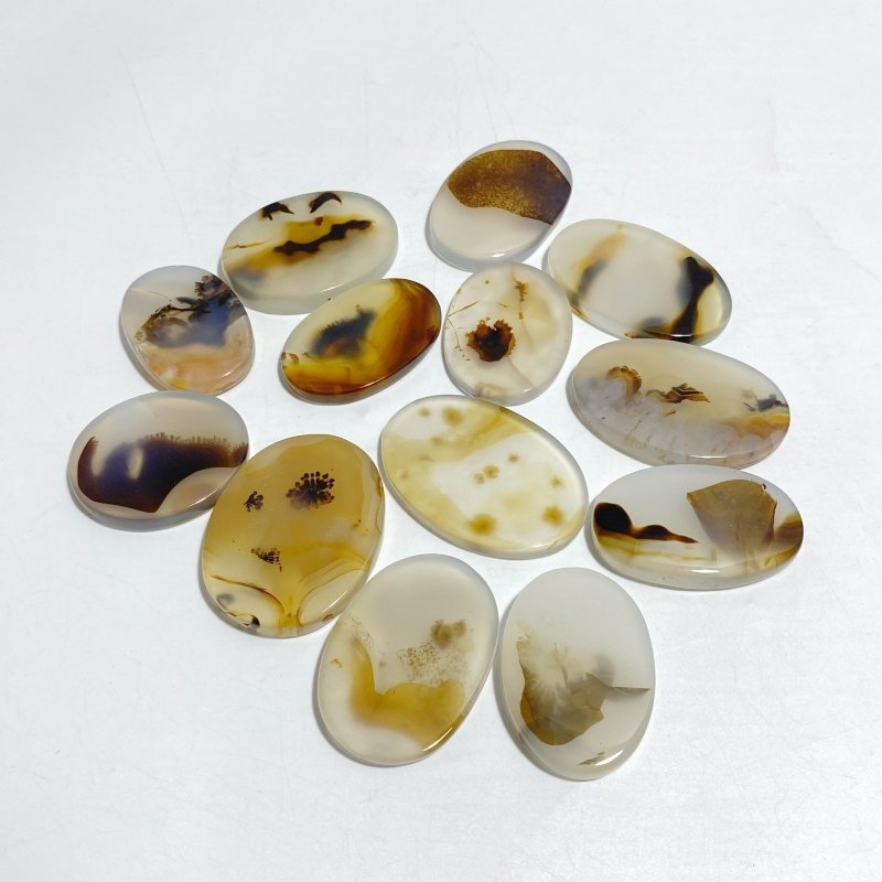 13 Pieces Natural Rare Scenic Dendritic Agate Stone -Wholesale Crystals