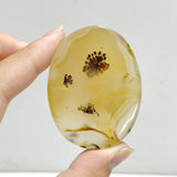 13 Pieces Natural Rare Scenic Dendritic Agate Stone -Wholesale Crystals