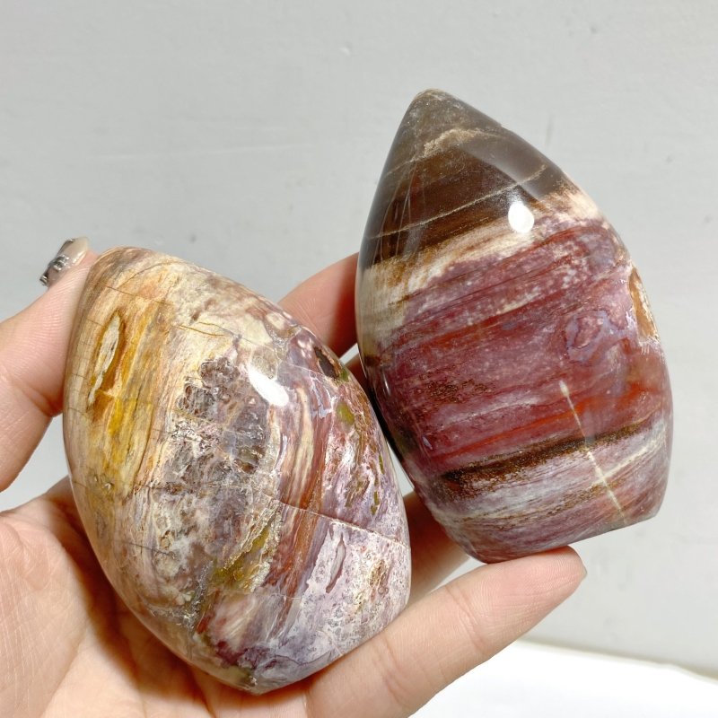 13 Pieces Petrified Wood Stone Arrow Head Shape -Wholesale Crystals