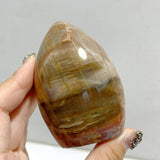 13 Pieces Petrified Wood Stone Arrow Head Shape -Wholesale Crystals