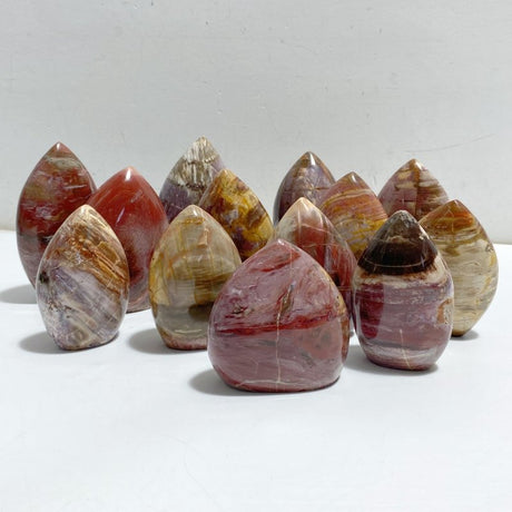 13 Pieces Petrified Wood Stone Arrow Head Shape -Wholesale Crystals