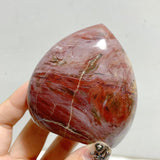 13 Pieces Petrified Wood Stone Arrow Head Shape -Wholesale Crystals