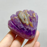 14 Pieces Amethyst Mixed Stripe Agate Shell Carving - Wholesale Crystals