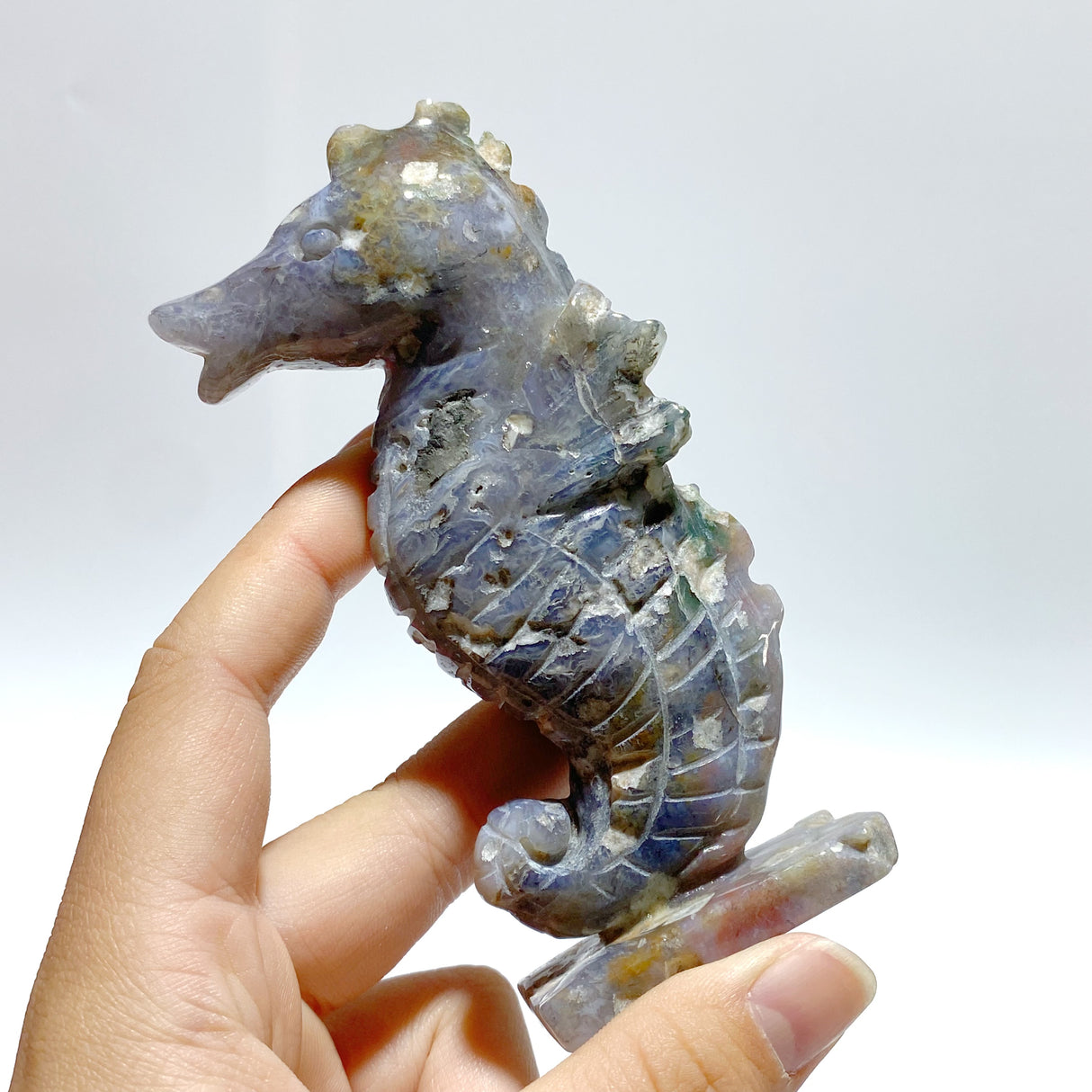 10 Pieces Moss Agate Seahorse Carving