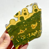 15 Pieces 8th Vein Ocean Jasper Slab - Wholesale Crystals