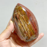 15 Pieces Petrified Wood Stone Arrow Head Shape -Wholesale Crystals