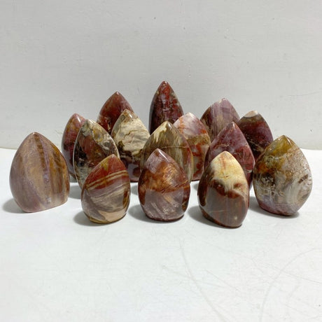 15 Pieces Petrified Wood Stone Arrow Head Shape -Wholesale Crystals
