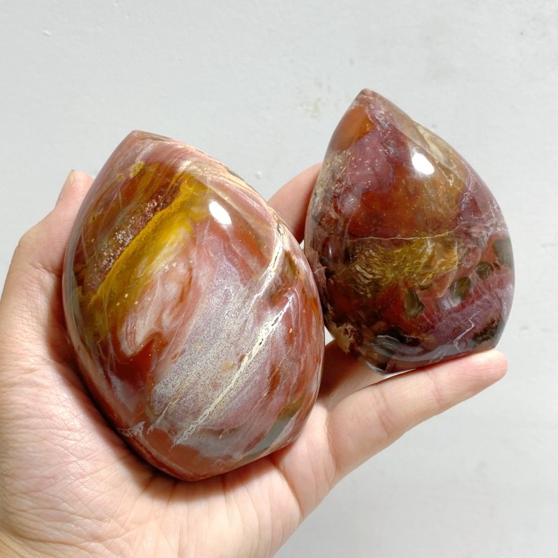 15 Pieces Petrified Wood Stone Arrow Head Shape -Wholesale Crystals