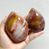 15 Pieces Petrified Wood Stone Arrow Head Shape -Wholesale Crystals