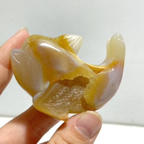15 pieces Small Geode Agate Druzy Dolphin Carving - Wholesale Crystals