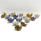 15 pieces Small Geode Agate Druzy Dolphin Carving - Wholesale Crystals