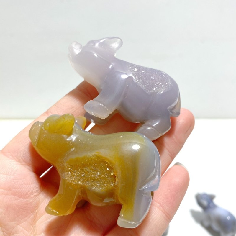 15 pieces Small Geode Agate Druzy Pig Carving - Wholesale Crystals