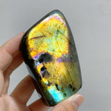 18 Pieces Beautiful Polished Labradorite Free Form -Wholesale Crystals