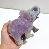 Unique Geode Amethyst Mixed Agate Druzy Elephant Animal Carving #A03