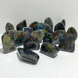 19 Pieces Beautiful Polished Labradorite Free Form -Wholesale Crystals