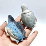 19 Pieces Trolleite Stone Sea Turtles Carving - Wholesale Crystals