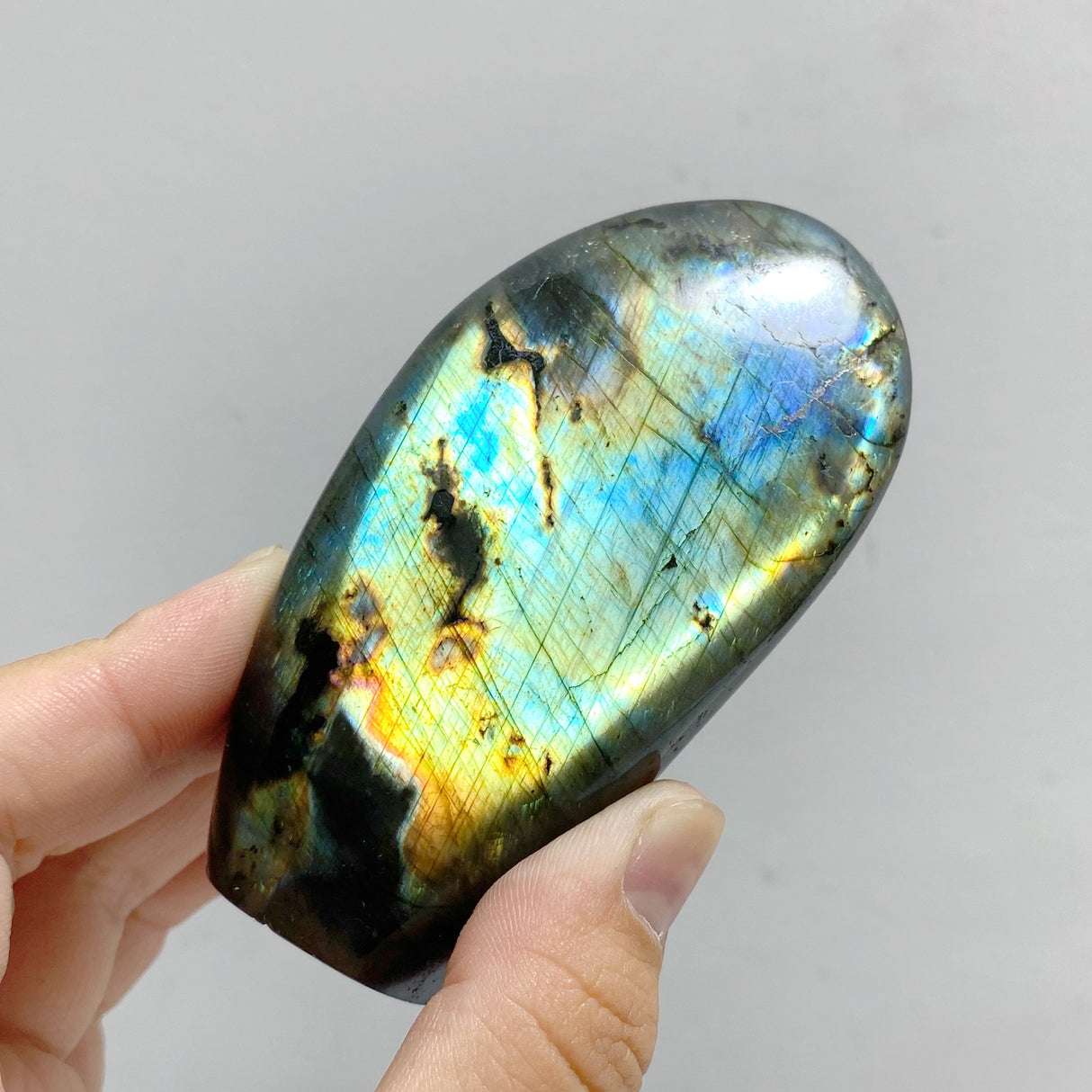 13 Pieces Polished Labradorite Free Form