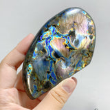 14 Pieces Beautiful Yellow Blue Labradorite Free Form
