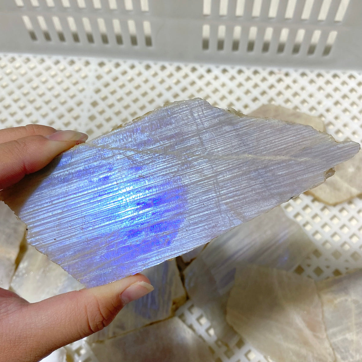 101 Pieces Blue Moonstone Slabs (Sea Freight Only)