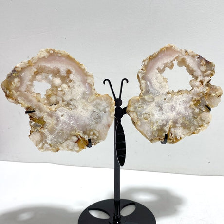 2 Pairs Geode Druzy Sakura Flower Agate Butterfly Wing With Stand - Wholesale Crystals