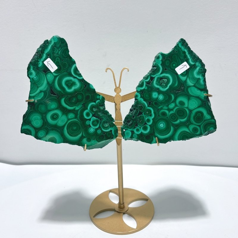 2 Pairs Polished Malachite Raw Slab Butterfly Wing With Stand (#5) - Wholesale Crystals