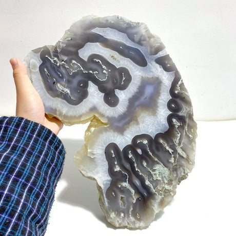 2 Pieces Large Moss Agate Slab - Wholesale Crystals