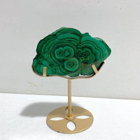 2 Pieces Malachite Raw Bottom With Stand - Wholesale Crystals