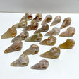 20 Pieces Sakura Flower Agate Crow Skull Carving - Wholesale Crystals
