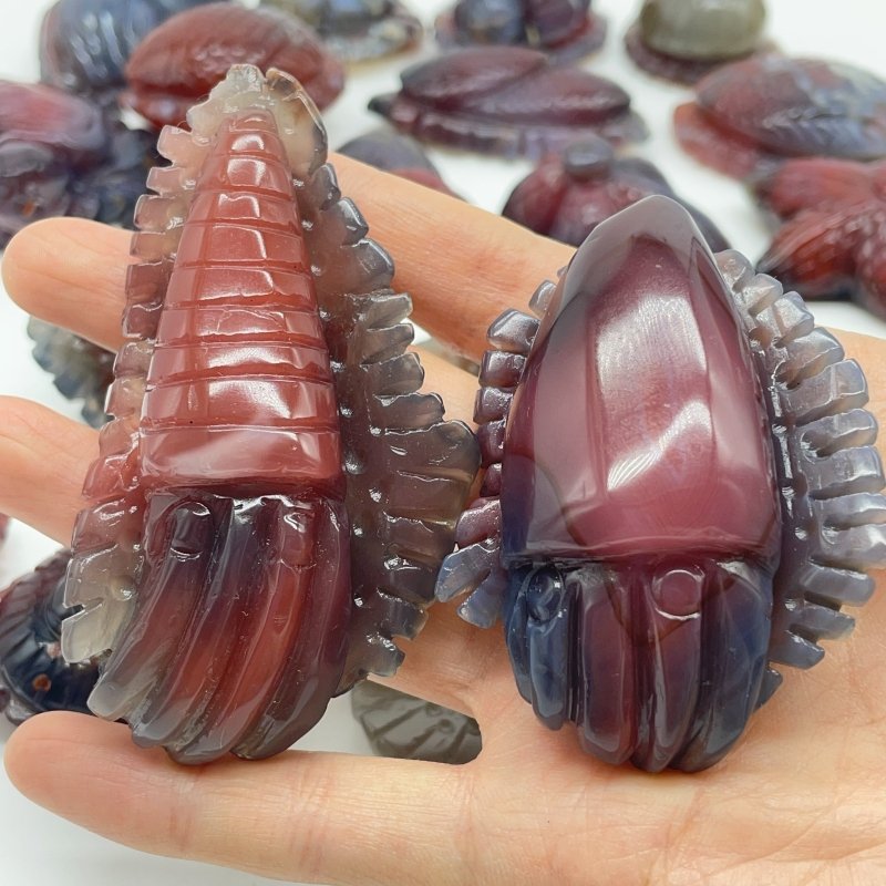 21 Pieces African Red Agate Sea Animals Carving -Wholesale Crystals