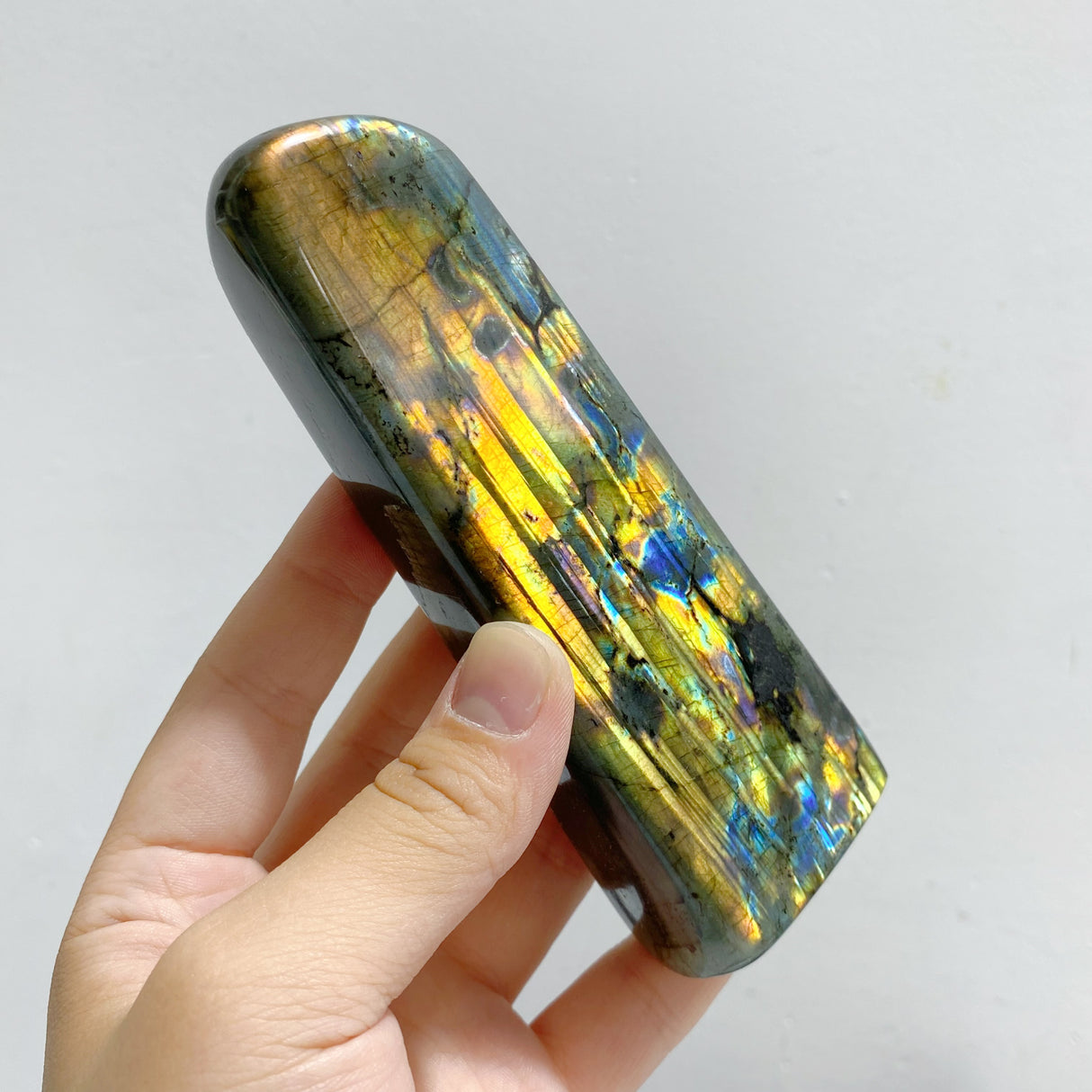 14 Pieces Beautiful Yellow Blue Labradorite Free Form
