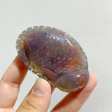 23 Pieces Africa Red Agate Sea Animals Carving -Wholesale Crystals