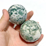 27 Pieces Moss Agate Spheres Ball - Wholesale Crystals