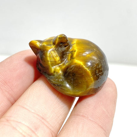 2.7CM Tiger Eye Sleeping Cat Carving Wholesale - Wholesale Crystals