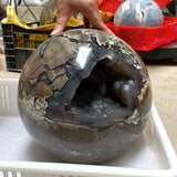 28.1KG Large Volcano Agate UV Reactive Sphere (Sea Freight Only) -Wholesale Crystals