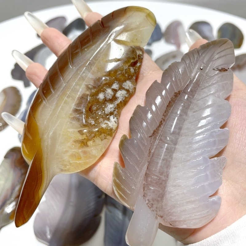 29 Pieces Beautiful Agate Feather Carving - Wholesale Crystals