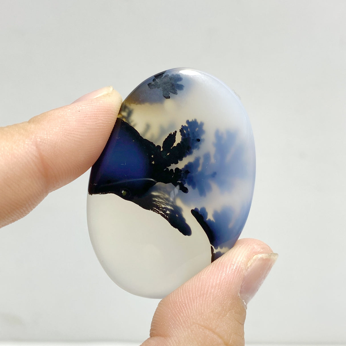 11 Pieces Natural Rare Scenic Dendritic Agate Stone