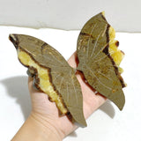 3 Pairs Septarian Butterfly Wing Carving With Stand 4 -Wholesale Crystals