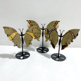 3 Pairs Septarian Butterfly Wing Carving With Stand 6 -Wholesale Crystals