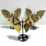 3 Pairs Septarium Butterfly Wing Carving With Stand 3 - Wholesale Crystals