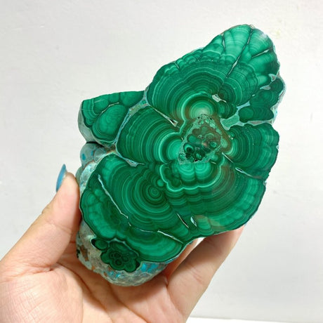 3 Pieces High Quality Beautiful Chrysocolla Mixed Malachite Slab Specimen 8 - Wholesale Crystals
