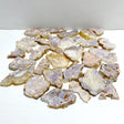 31 Pieces Sakura Flower Agate Slabs -Wholesale Crystals